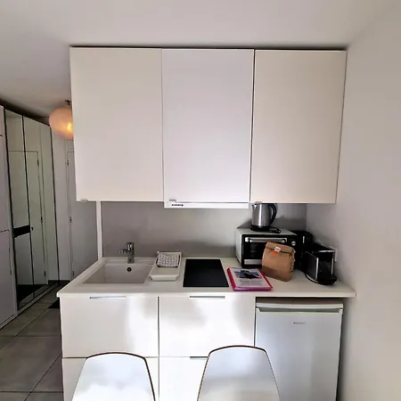 Lumineux Avec Vue Sur Le Massif Du Mont-blanc * 霞慕尼