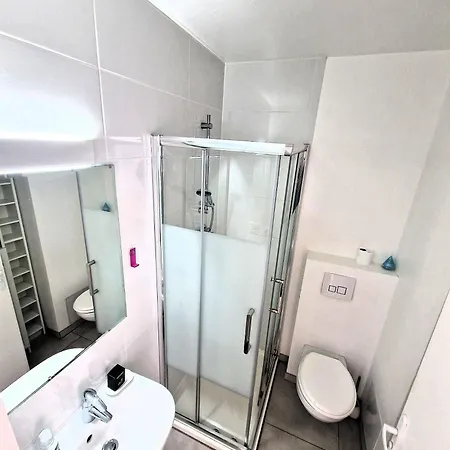 公寓 Lumineux Avec Vue Sur Le Massif Du Mont-blanc