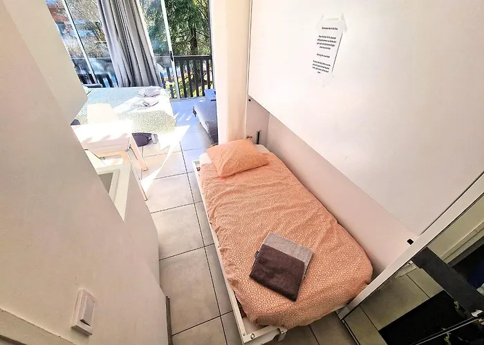 Lumineux Avec Vue Sur Le Massif Du Mont-blanc