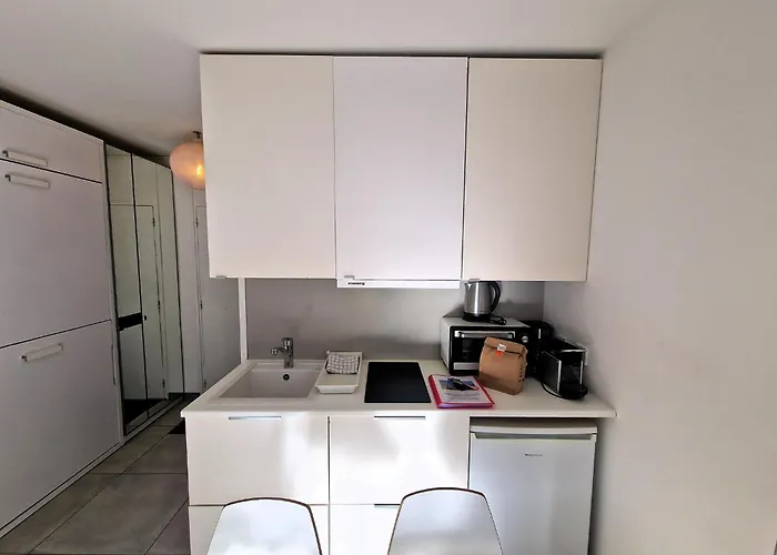 Lumineux Avec Vue Sur Le Massif Du Mont-blanc * 霞慕尼