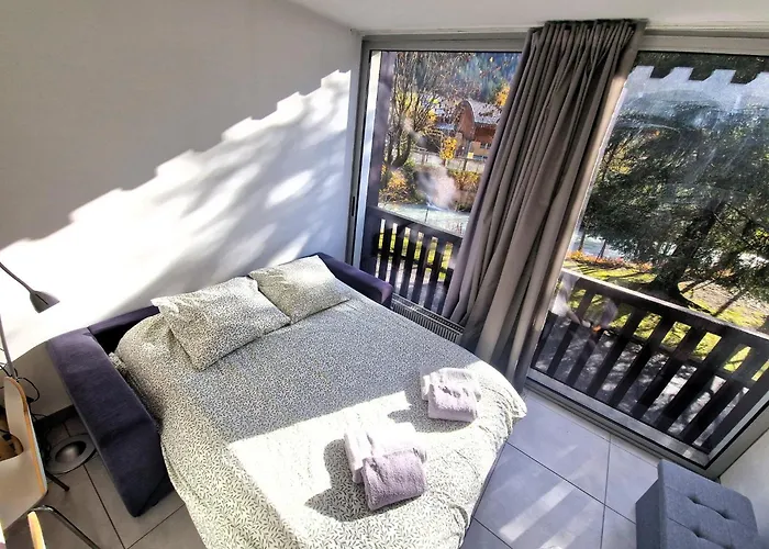 Lumineux Avec Vue Sur Le Massif Du Mont-blanc *